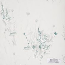 Wild Flower Collection