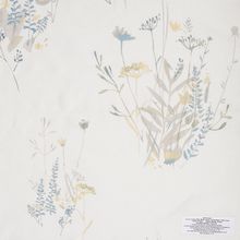 Wild Flower Collection