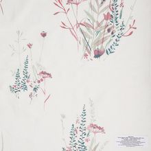 Wild Flower Collection