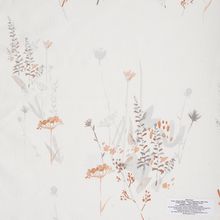 Wild Flower Collection